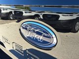 New 2025 Ford F250 4x4 Crew Cab Super Duty image 5