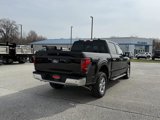 New 2025 Ford F150 XLT w/ Equipment Group 302A MID image 6