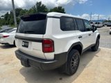 Used 2025 Toyota Land Cruiser 1958 image 5