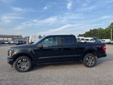 Certified 2023 Ford F150 XL w/ STX Appearance Package image 4