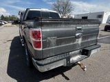 Used 2014 Ford F150 XLT w/ Equipment Group 302A Luxury image 4