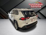 Certified 2025 Toyota RAV4 XLE Premium image 3