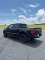 New 2025 Ford F150 STX w/ STX Black Appearance Package image 3