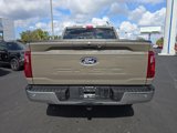 New 2025 Ford F150 XLT w/ Equipment Group 303A High image 6