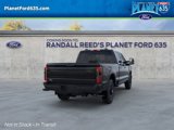 New 2025 Ford F250 Platinum image 2