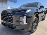 New 2025 Hyundai Palisade Calligraphy image 2