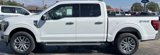 New 2025 Ford F150 Lariat w/ Equipment Group 501A Mid image 5