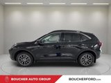 Certified 2024 Ford Escape SE image 5