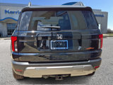 New 2026 Honda Passport TrailSport Elite image 4