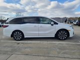New 2025 Honda Odyssey Elite image 5