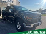 Used 2024 Ford F150 XLT w/ Equipment Group 302A MID image 4