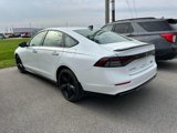 Used 2023 Honda Accord Sport image 4