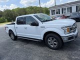 Used 2020 Ford F150 XLT w/ Equipment Group 302A Luxury image 3