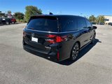 New 2025 Honda Odyssey Elite image 4