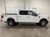 Used 2023 Ford F150 XLT w/ Equipment Group 302A High image 4