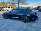 Used 2019 Ford Mustang GT w/ Equipment Group 301A image 5