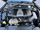 Used 2019 Ford Mustang GT w/ Equipment Group 301A image 2