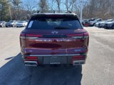New 2025 INFINITI QX60 Autograph w/ Cargo Package image 4