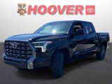New 2025 Toyota Tundra Platinum image 5