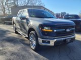 New 2025 Ford F150 XLT w/ Equipment Group 303A High image 2