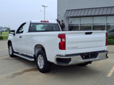 Used 2024 Chevrolet Silverado 1500 W/T w/ WT Fleet Convenience Package image 4