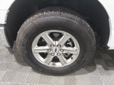 Used 2024 Ford F150 XLT image 6