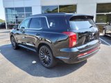 New 2025 Hyundai Palisade Calligraphy image 4