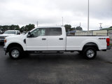 Used 2022 Ford F250 XL w/ Power Equipment Group image 5