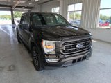 Certified 2023 Ford F150 XLT w/ Equipment Group 302A High image 2
