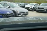 New 2025 Hyundai Palisade Limited image 3