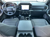 Used 2022 Ford F150 XLT w/ Equipment Group 302A High image 4
