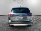 Certified 2024 INFINITI QX50 Luxe w/ Accent Package image 6