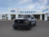 New 2025 Ford F150 STX w/ STX Black Appearance Package image 2