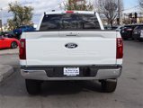 New 2025 Ford F150 XLT w/ Equipment Group 303A High image 5