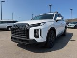 New 2025 Hyundai Palisade XRT image 4