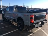 New 2025 Ford F250 Platinum image 5