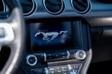 Used 2021 Ford Mustang GT Premium w/ Equipment Group 401A image 5
