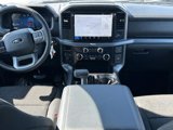New 2025 Ford F150 XLT image 6