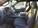 New 2025 Ford F150 XLT w/ Equipment Group 302A MID image 6