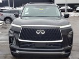 New 2025 INFINITI QX80 Pure w/ Exterior Package image 4