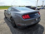 Used 2022 Ford Mustang Coupe image 5
