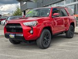 Used 2023 Toyota 4Runner TRD Off-Road Premium image 4