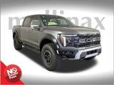 New 2025 Ford F150 Raptor image 1