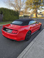 Used 2022 Ford Mustang Premium image 5