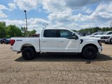New 2025 Ford F150 XLT image 4