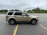 Used 2011 Ford Escape XLT image 6