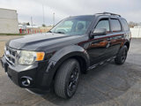 Used 2011 Ford Escape XLT w/ 202A Rapid Spec Order Code image 2