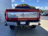 New 2025 Ford F250 4x4 Crew Cab Super Duty image 5