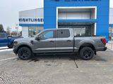New 2025 Ford F150 STX w/ Equipment Group 201A FX4 image 4