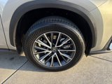 Used 2023 Lexus NX 350 AWD w/ Cold Area Package image 6
